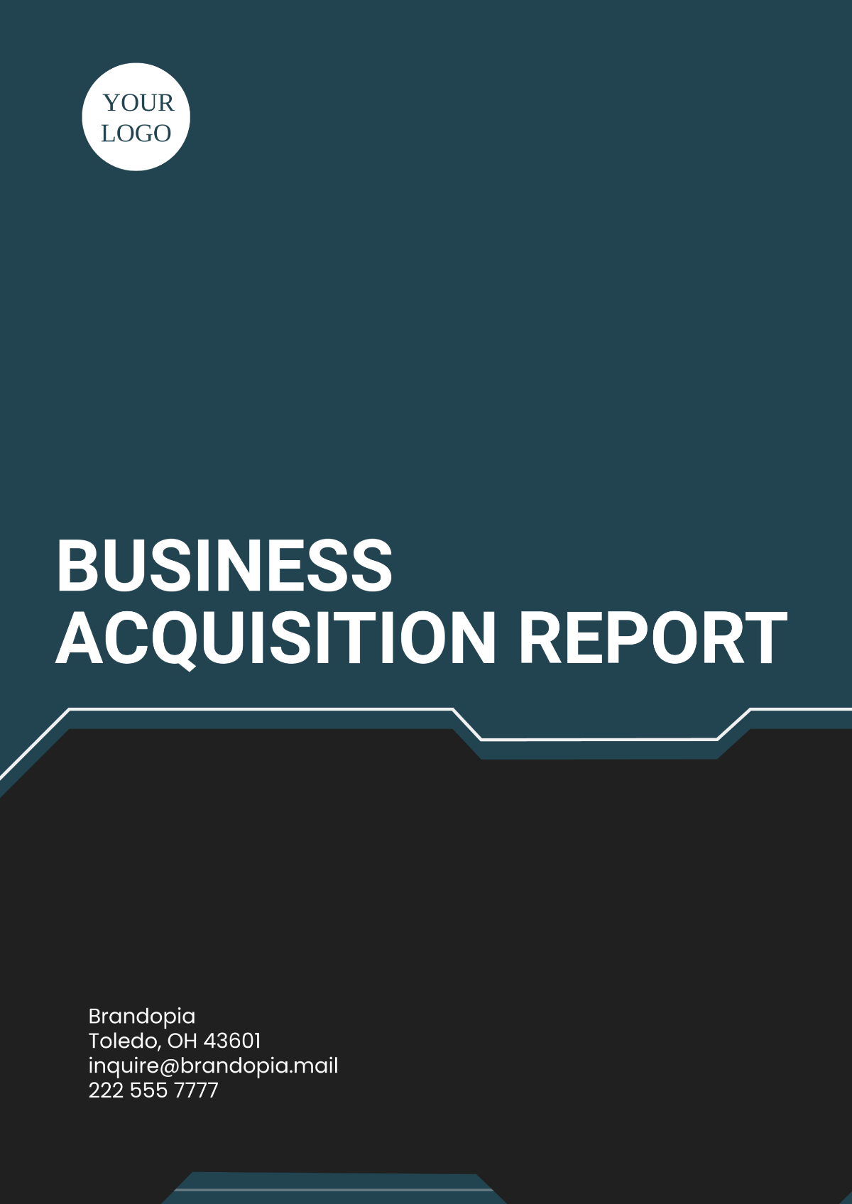 Business Acquisition Report Template - Edit Online & Download