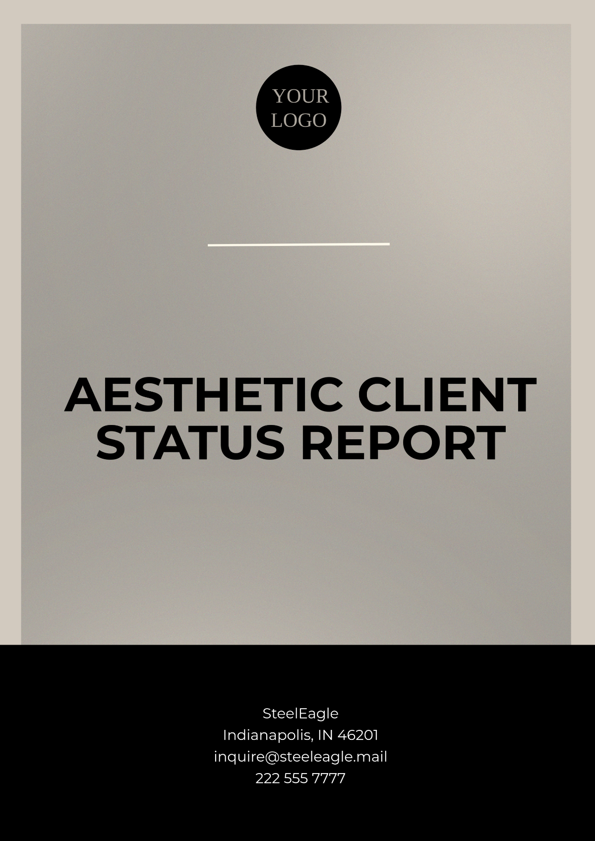 Free Aesthetic Client Status Report Template