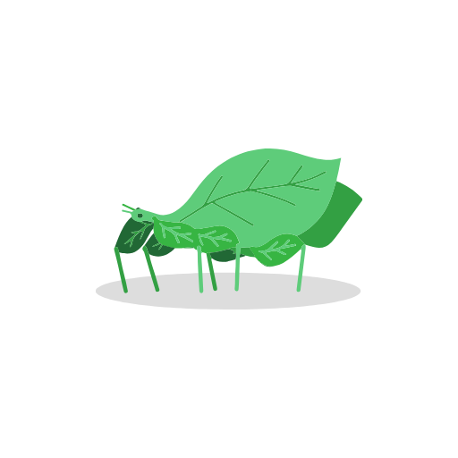 Leaf Insect