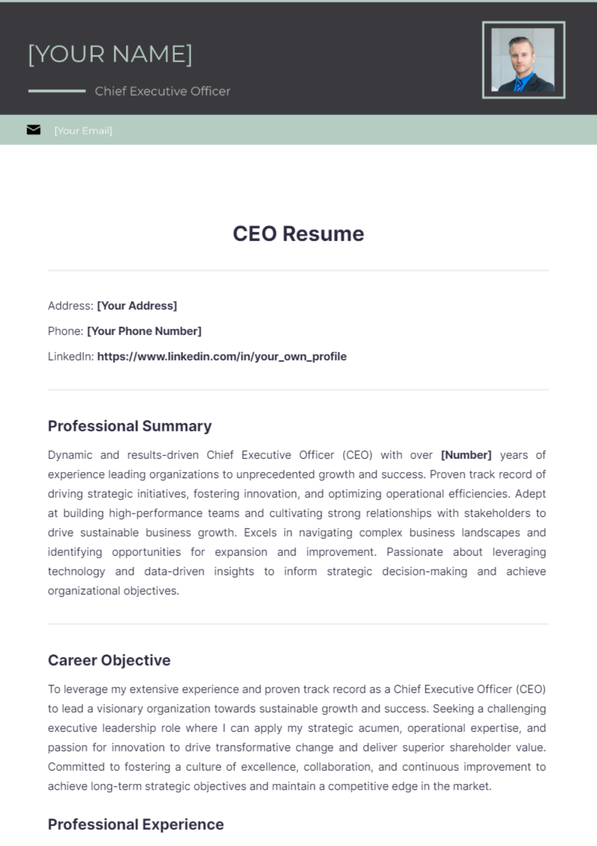 CEO Resume Edit Online amp Download - CEO Resume Edit Online 1 