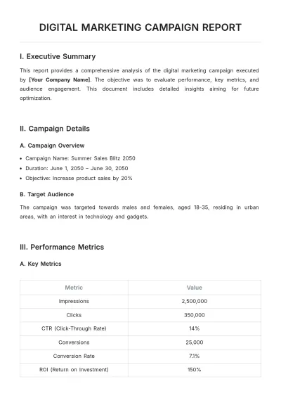 Free Digital Marketing Campaign Report Template to Edit Online