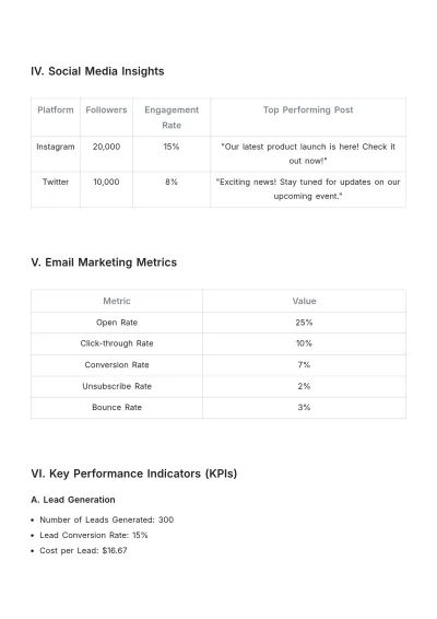 Free Bi-Weekly Marketing Report Template to Edit Online