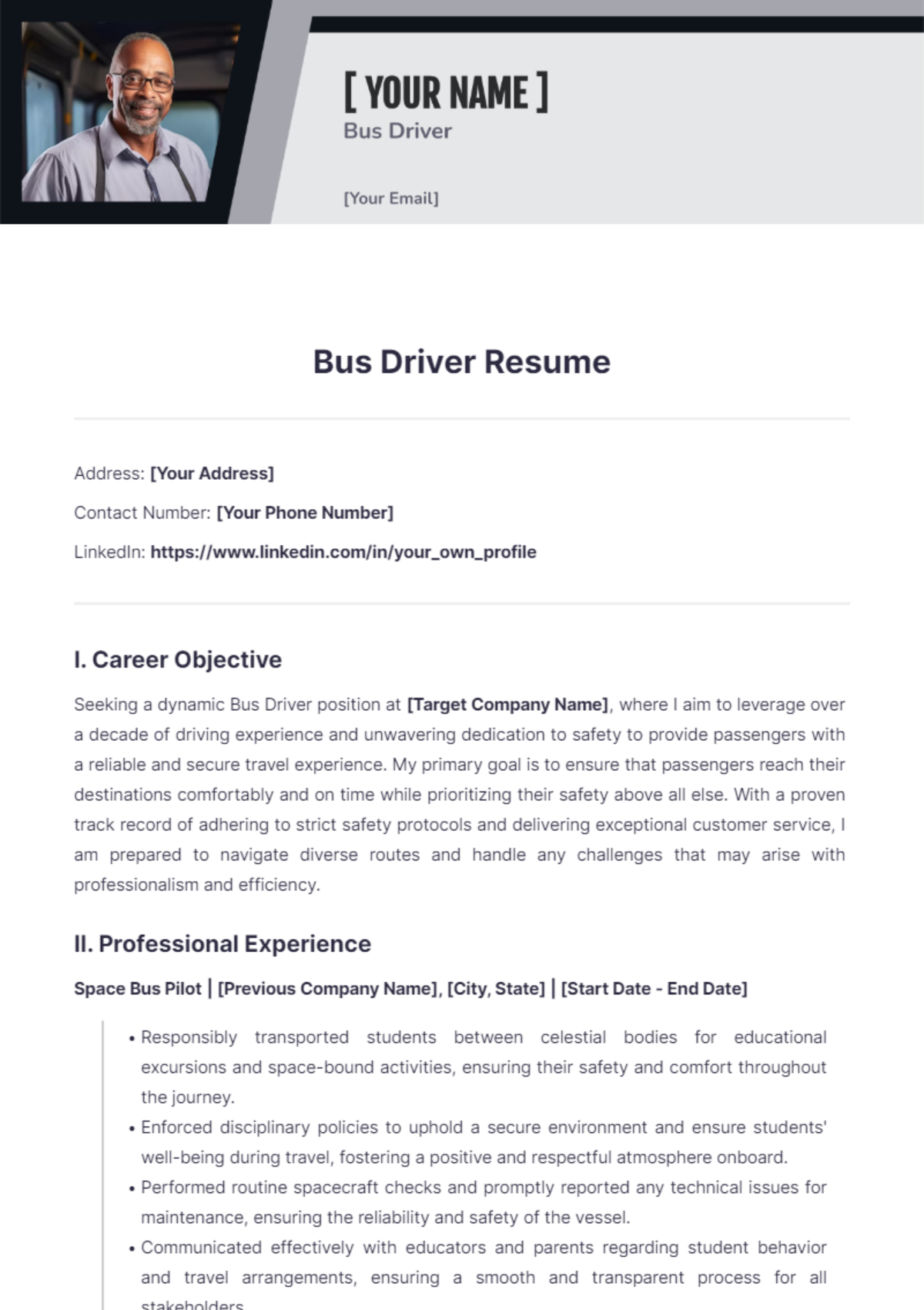 Bus Driver Resume