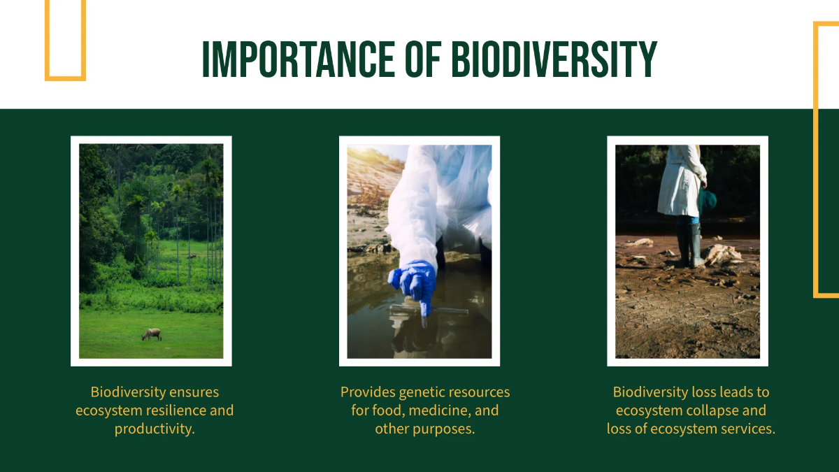 Free Environment Presentation PPT Template to Edit Online