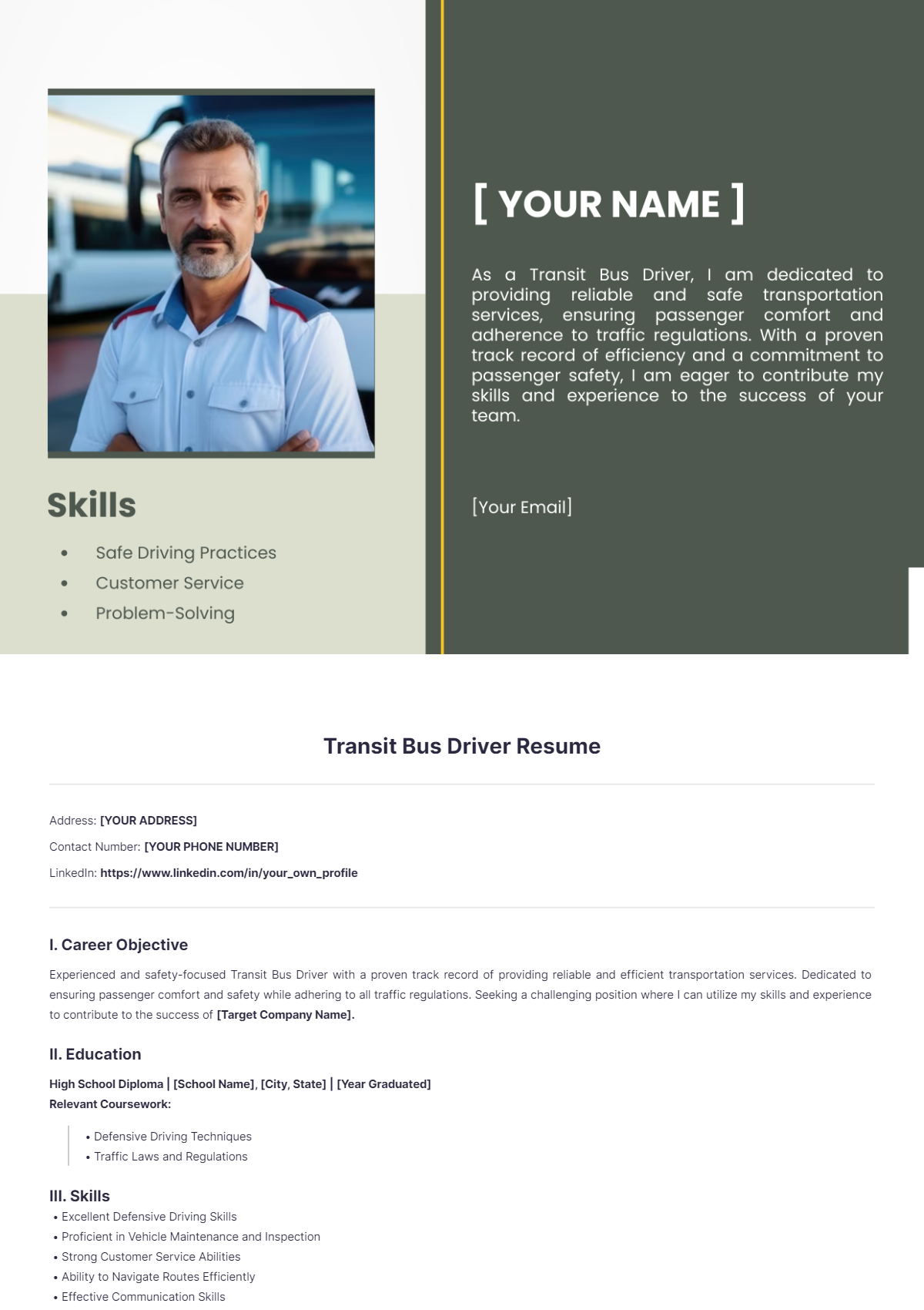 Transit Bus Driver Resume