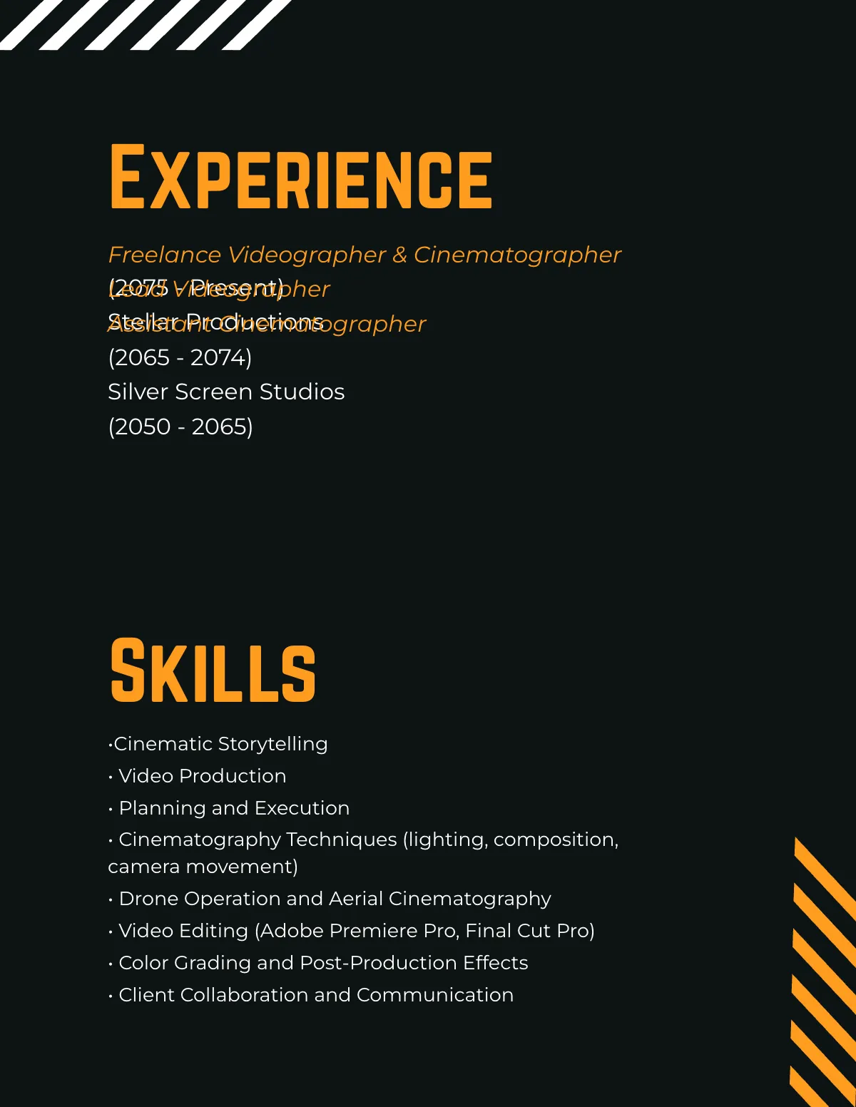 Free Videographer Portfolio Template to Edit Online