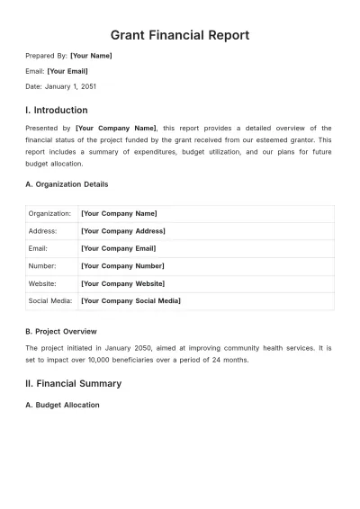 Free Grant Financial Report Template to Edit Online