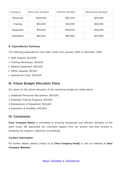 Free Grant Financial Report Template to Edit Online