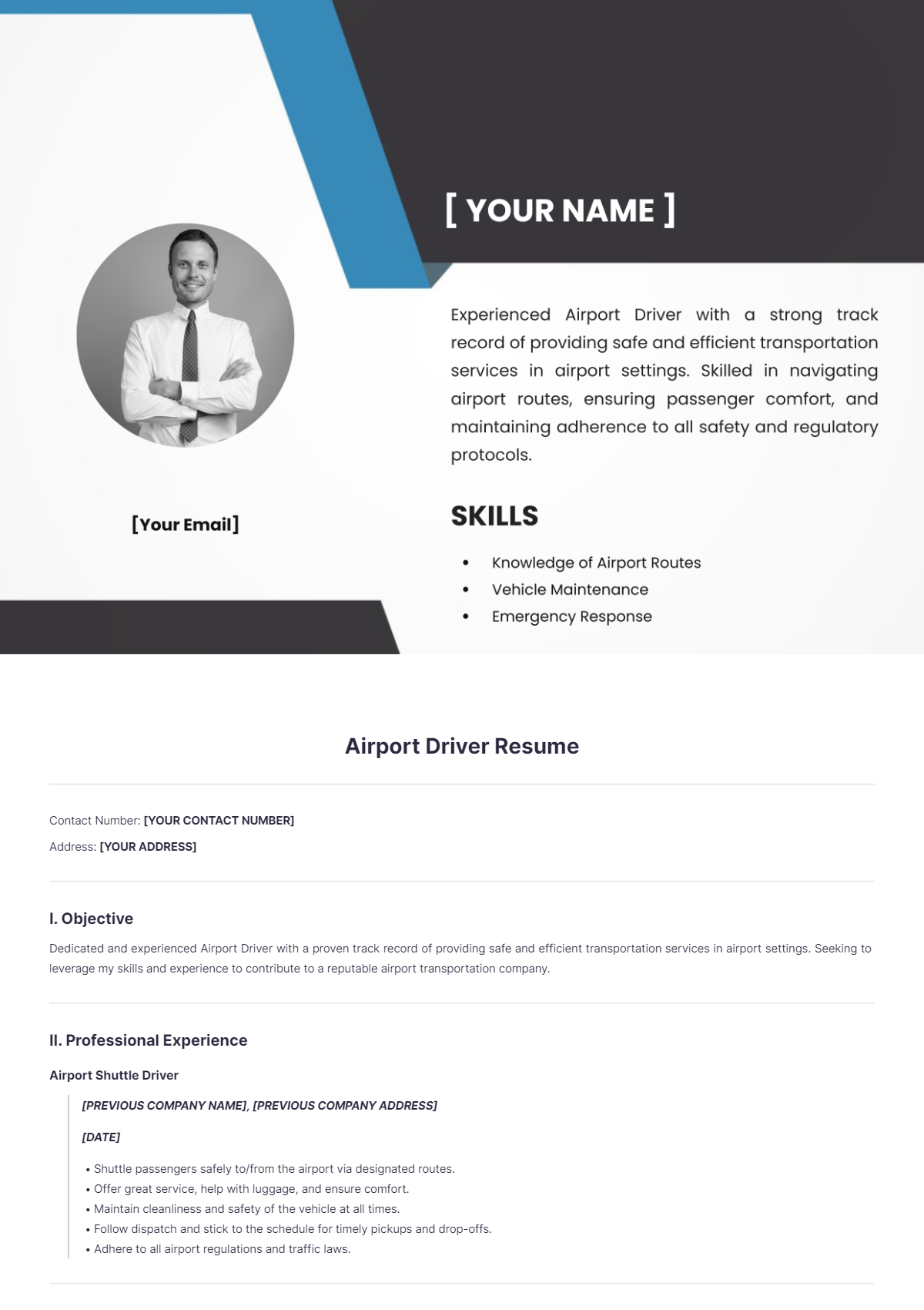 Airport Driver Resume