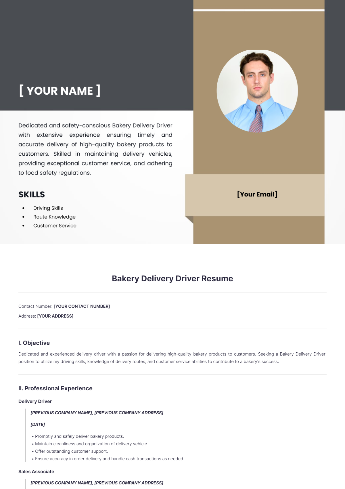 Bakery Delivery Driver Resume