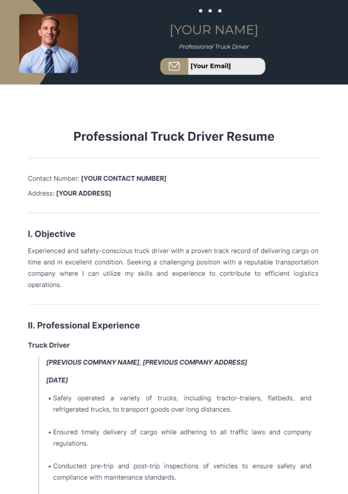 Free Professional Truck Driver Resume Template - Edit Online & Download ...