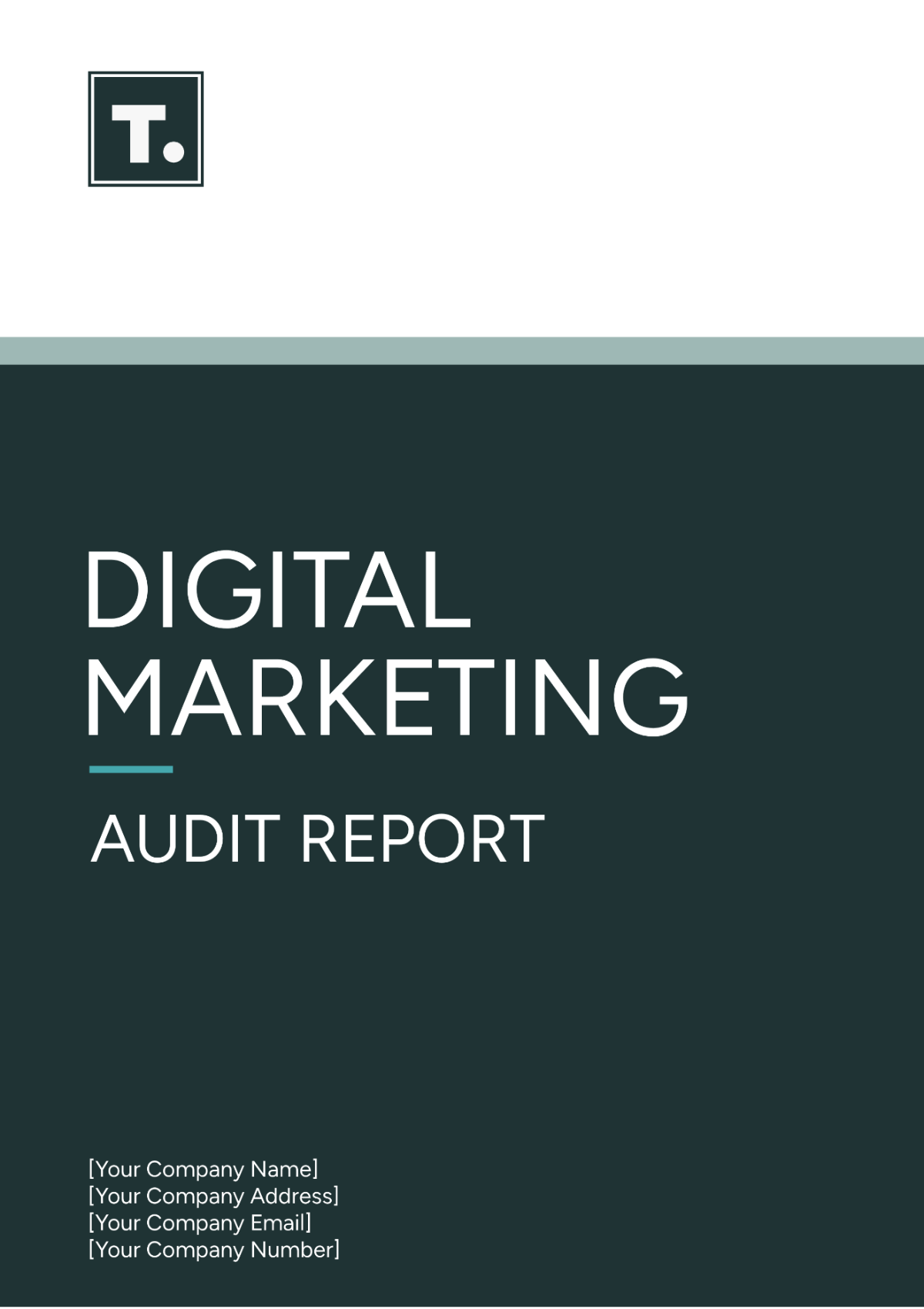 Digital Marketing Audit Report Template - Edit Online & Download