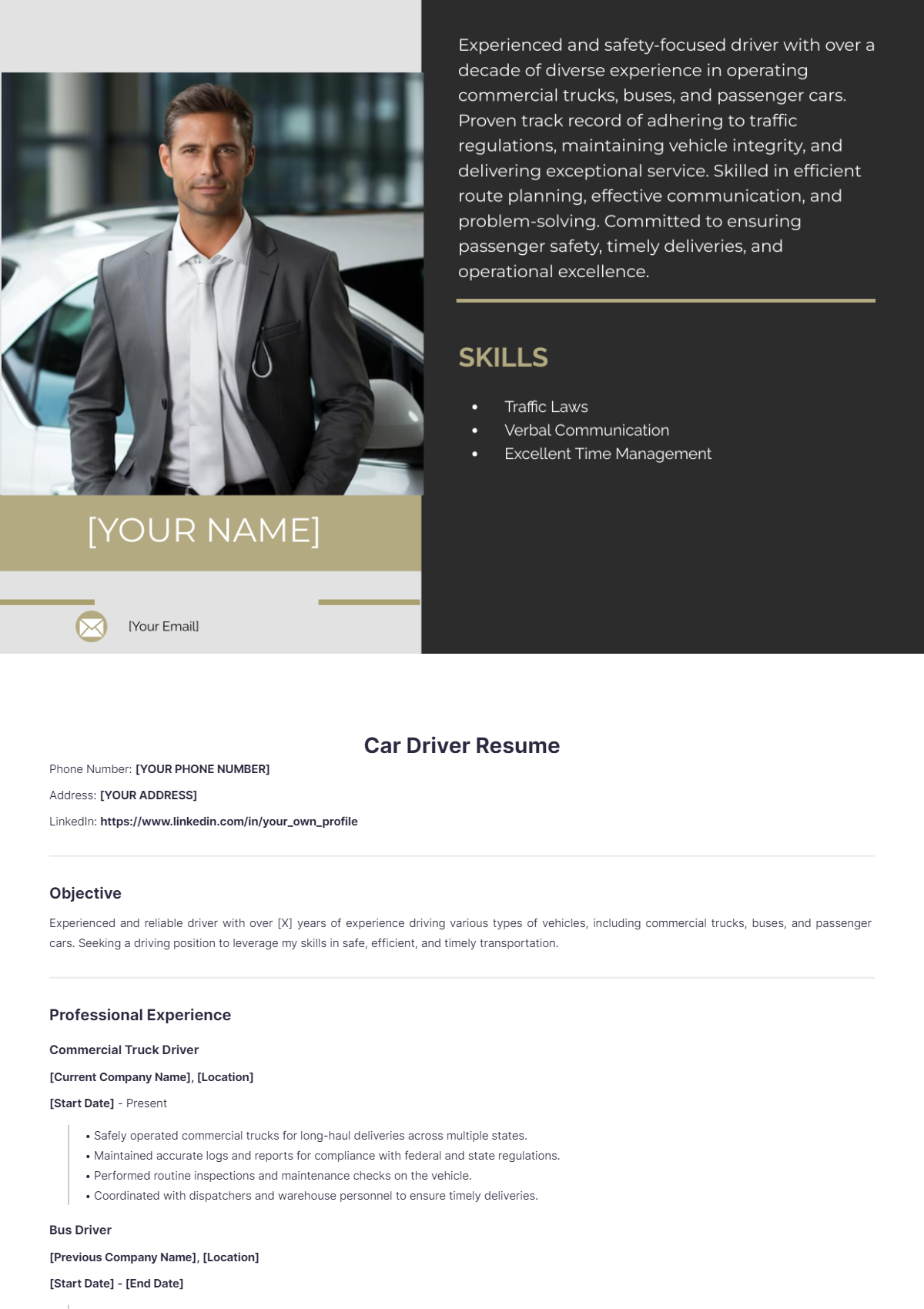 Car Driver Resume