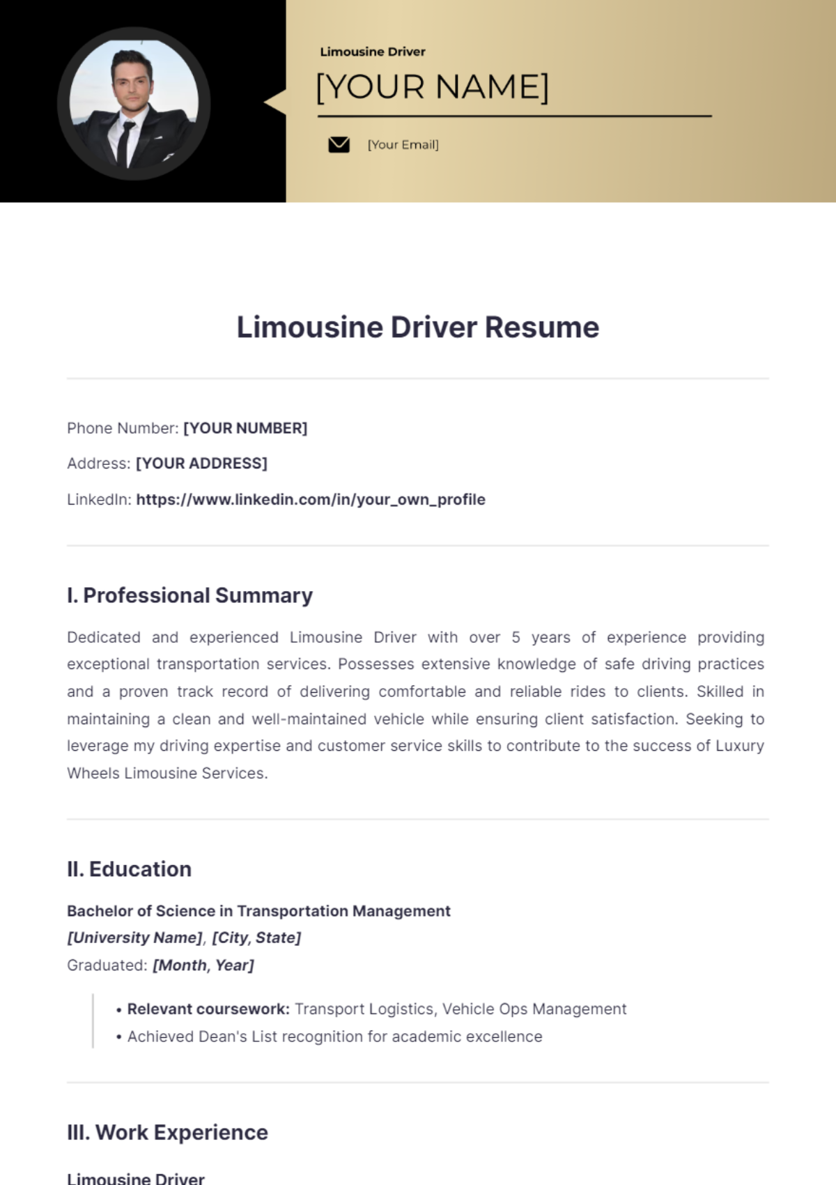 Limousine Driver Resume