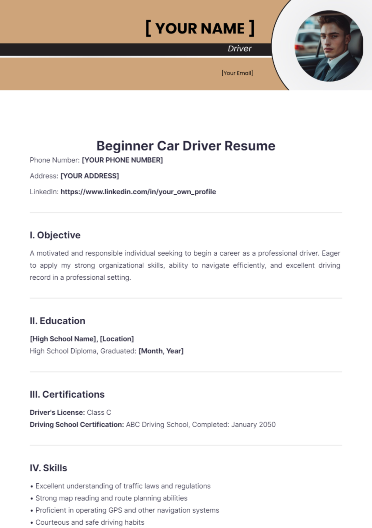 Beginner Car Driver Resume