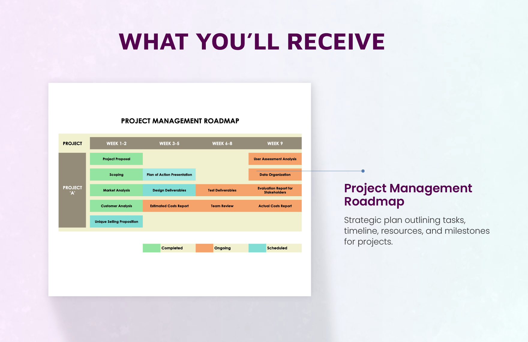  Project Management Roadmap Template