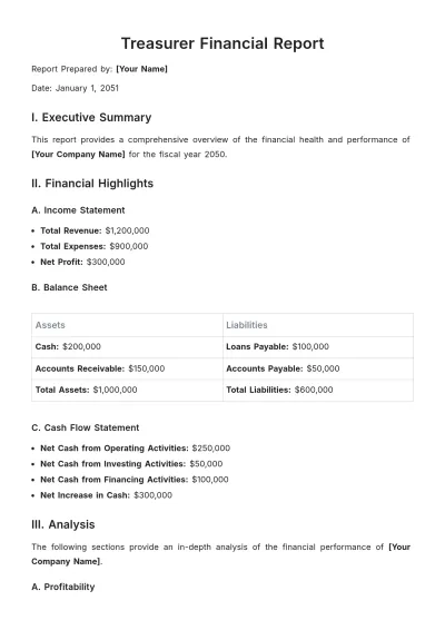 Free Treasurer Financial Report Template to Edit Online