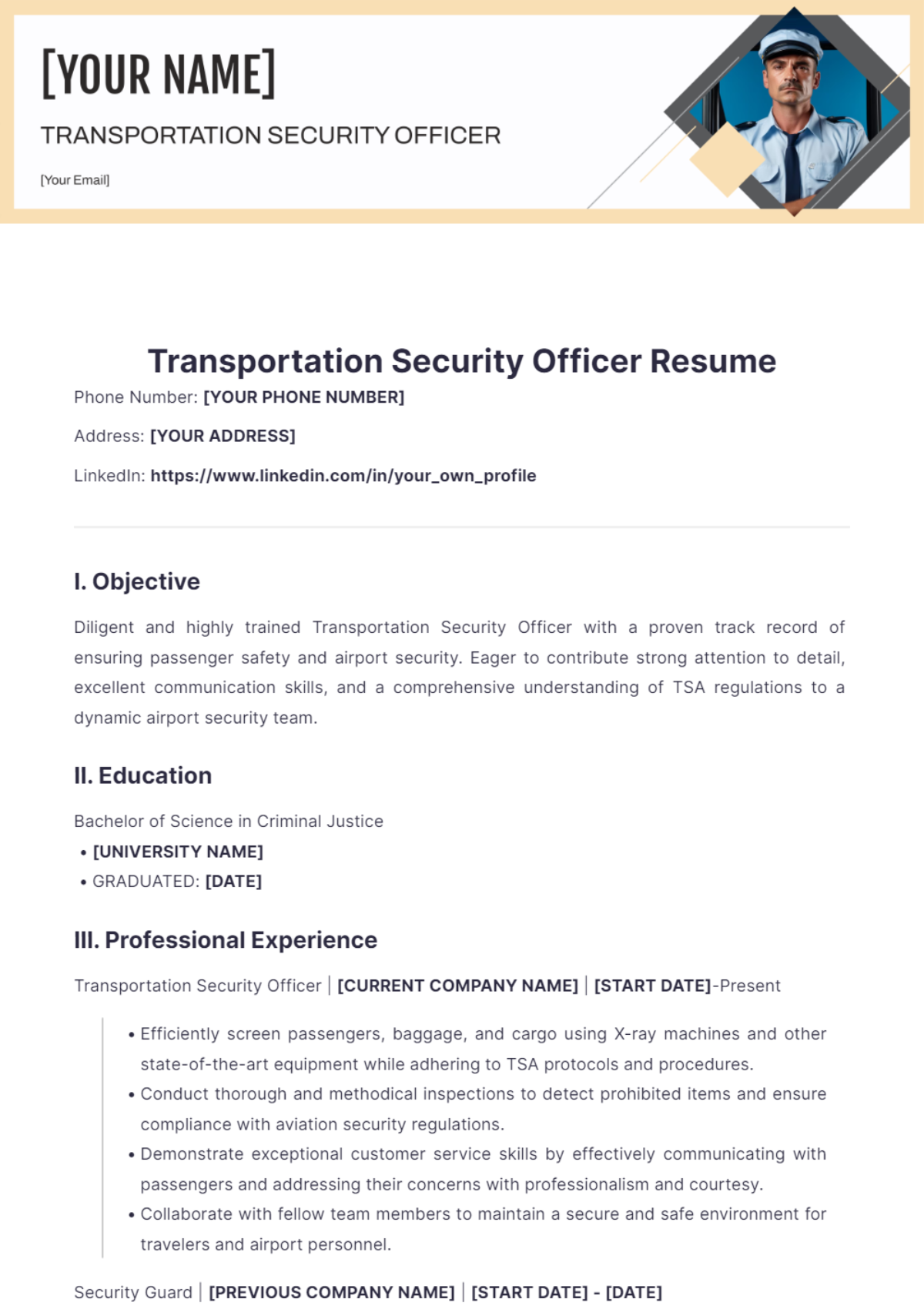 Transportation Security Officer Resume - Edit Online & Download