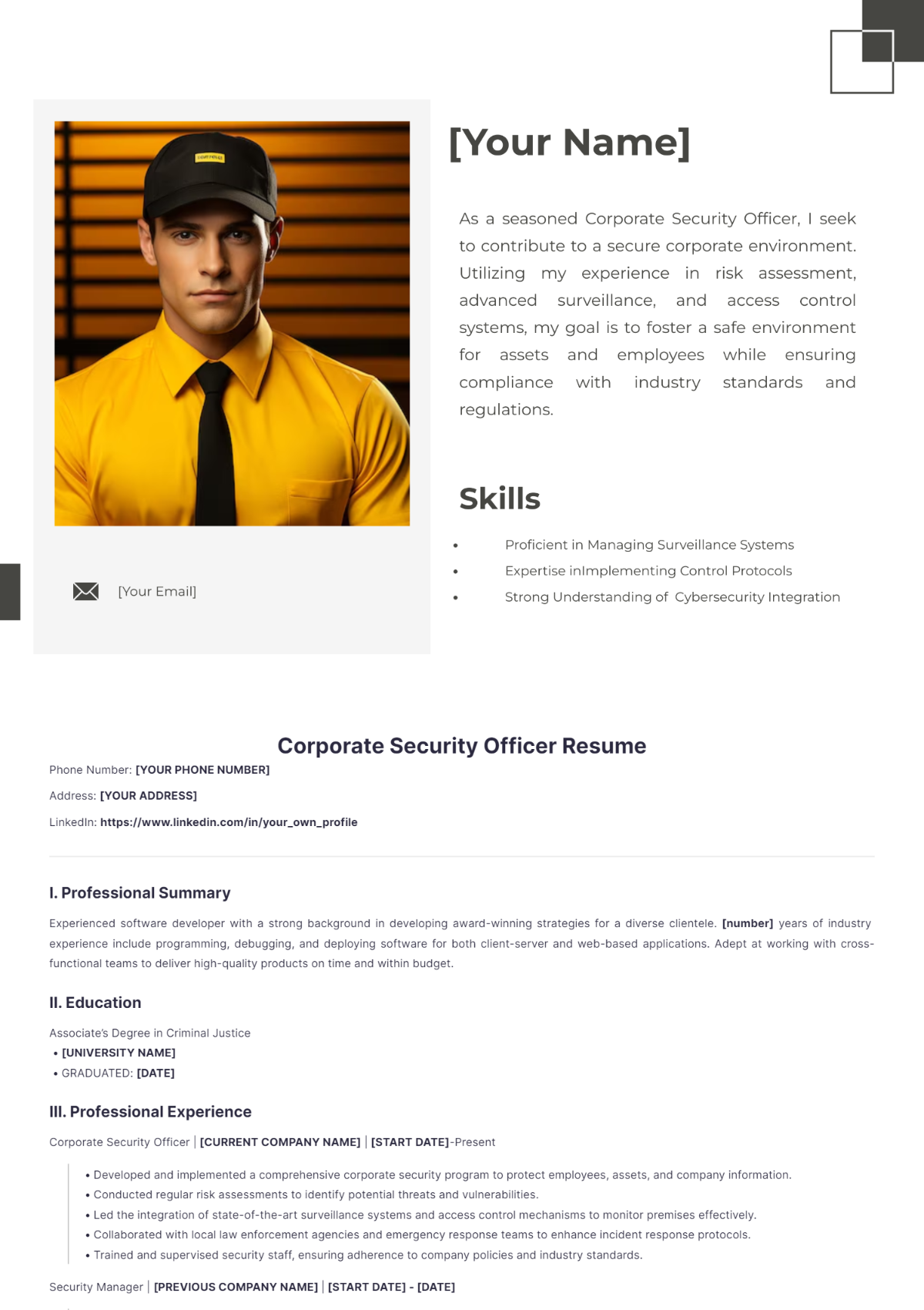 Corporate Security Officer Resume - Edit Online & Download