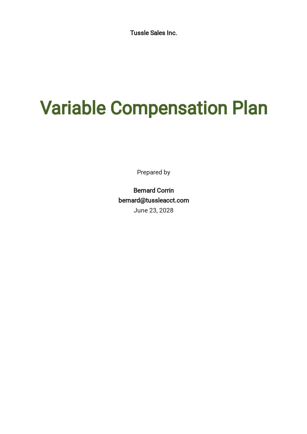Sales Compensation Plan Template Word