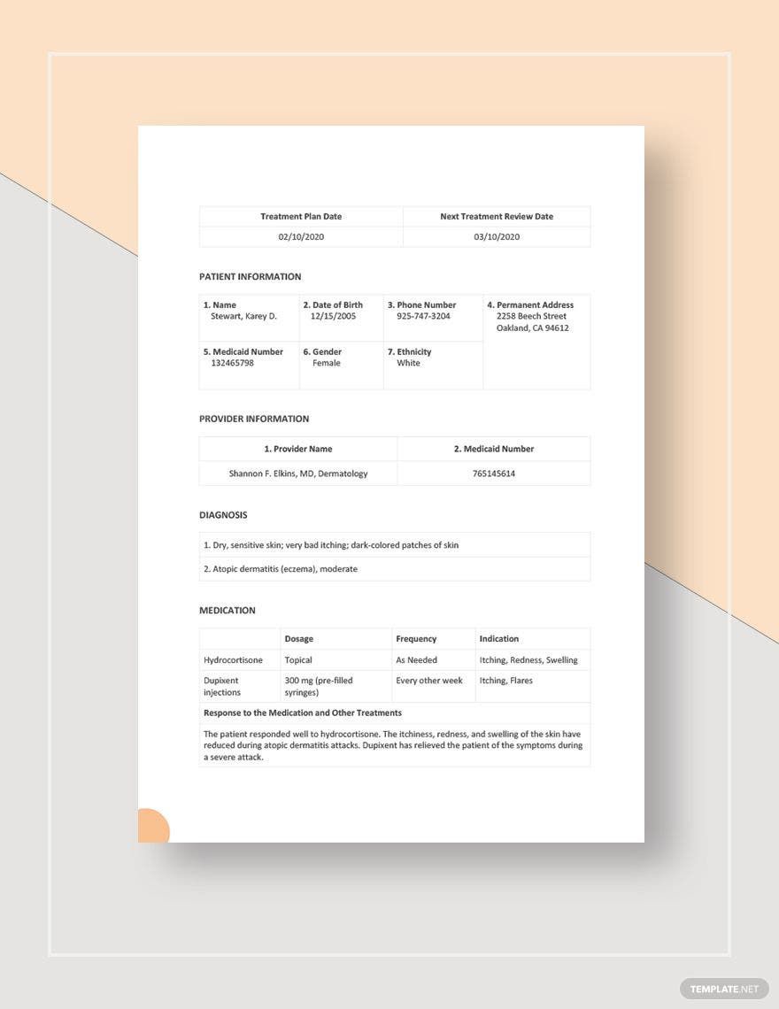 Skin Care Treatment Plan Template Google Docs Word Apple Pages