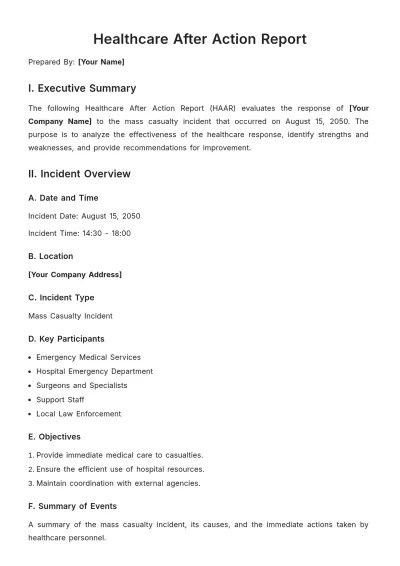 Free Healthcare After Action Report Template to Edit Online