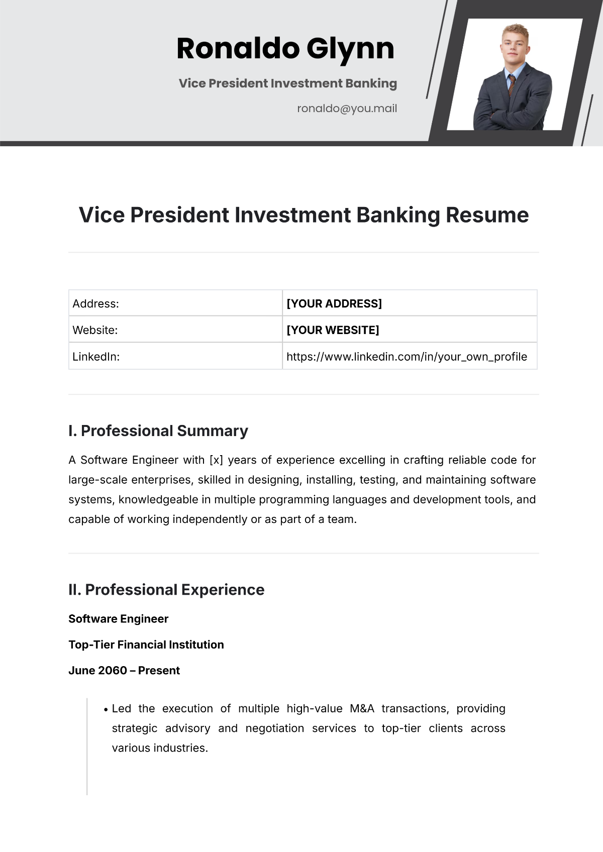 Vice President Investment Banking Resume Template - Edit Online & Download