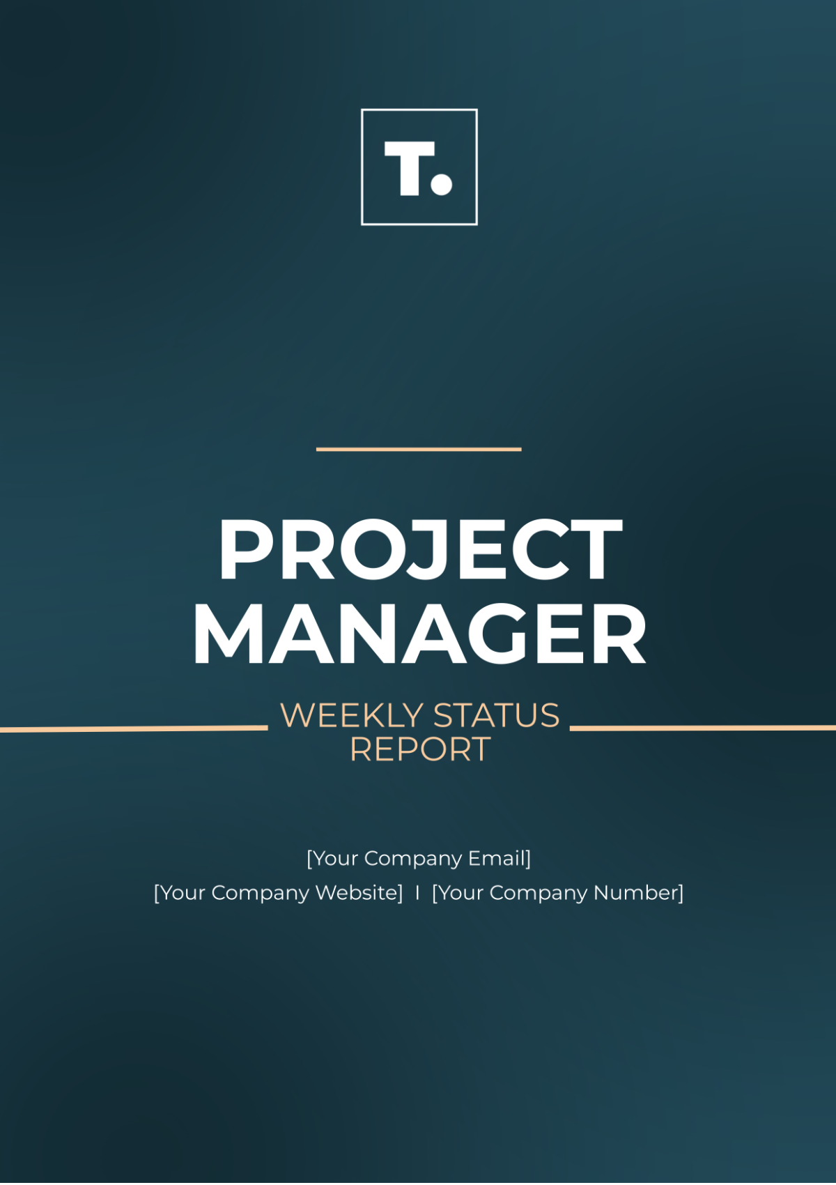 Project Manager Weekly Status Report Template - Edit Online & Download