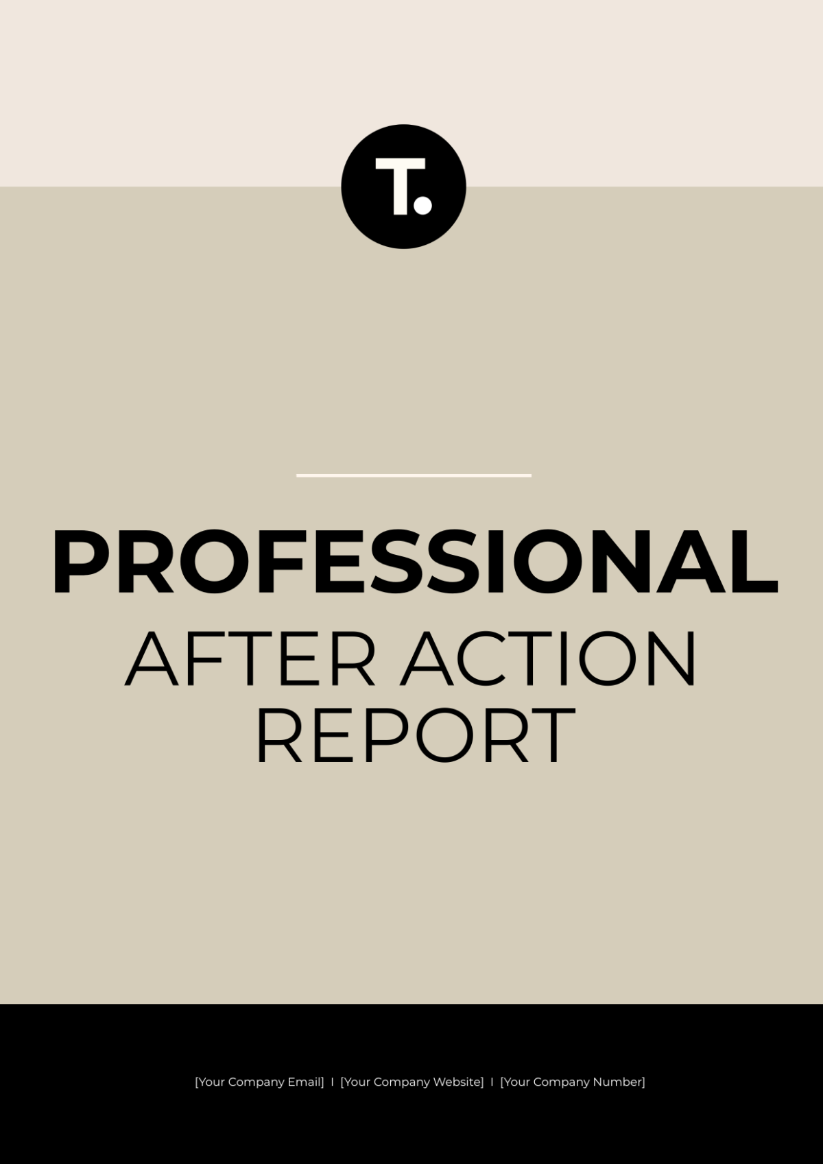 Professional After Action Report Template - Edit Online & Download