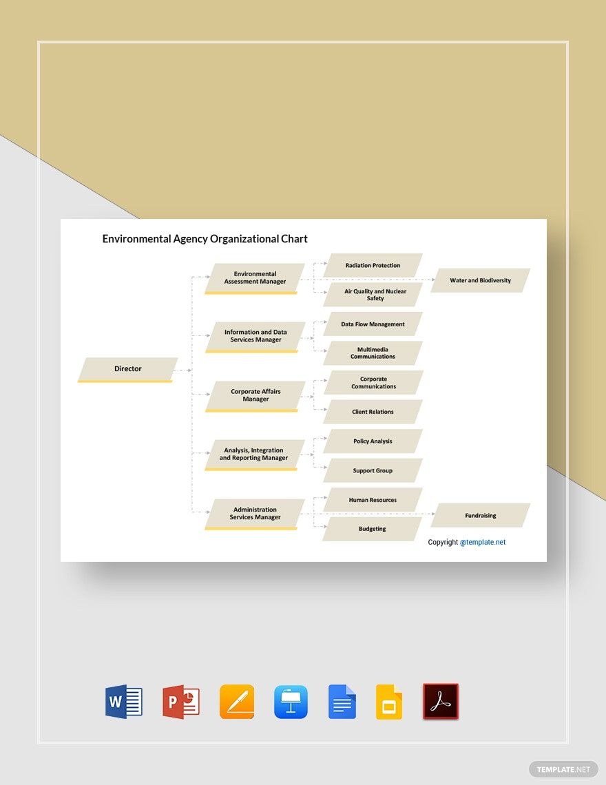 Simple Environmental Agency Organizational Chart Template
