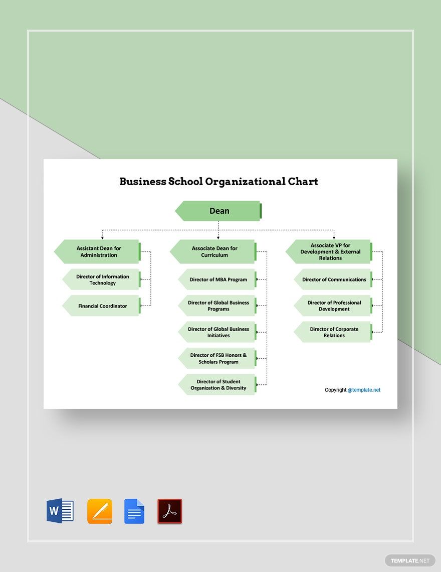 Business School Organizational Chart Template