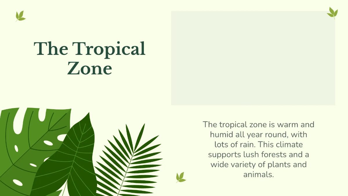 Free Climate Zones and Biomes Template to Edit Online