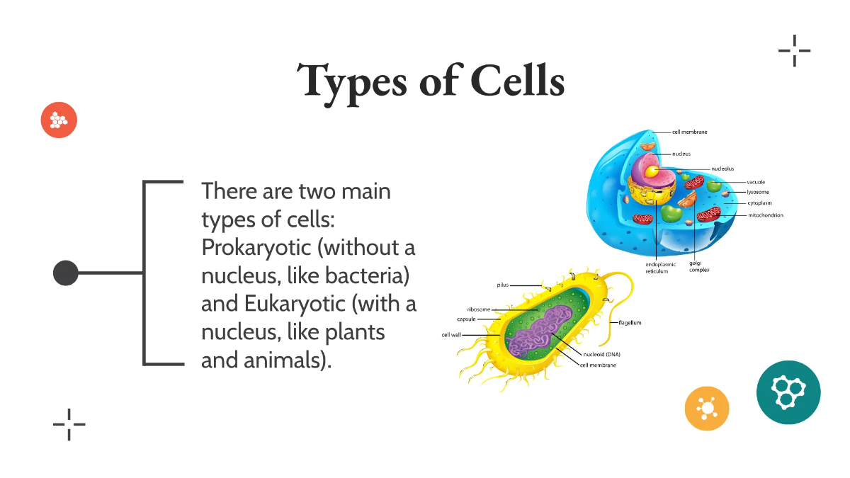 Free Understanding Cells Template to Edit Online