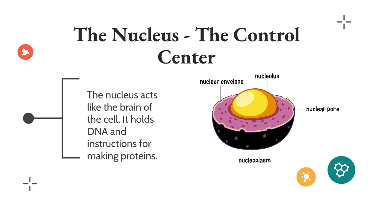 Free Understanding Cells Template to Edit Online