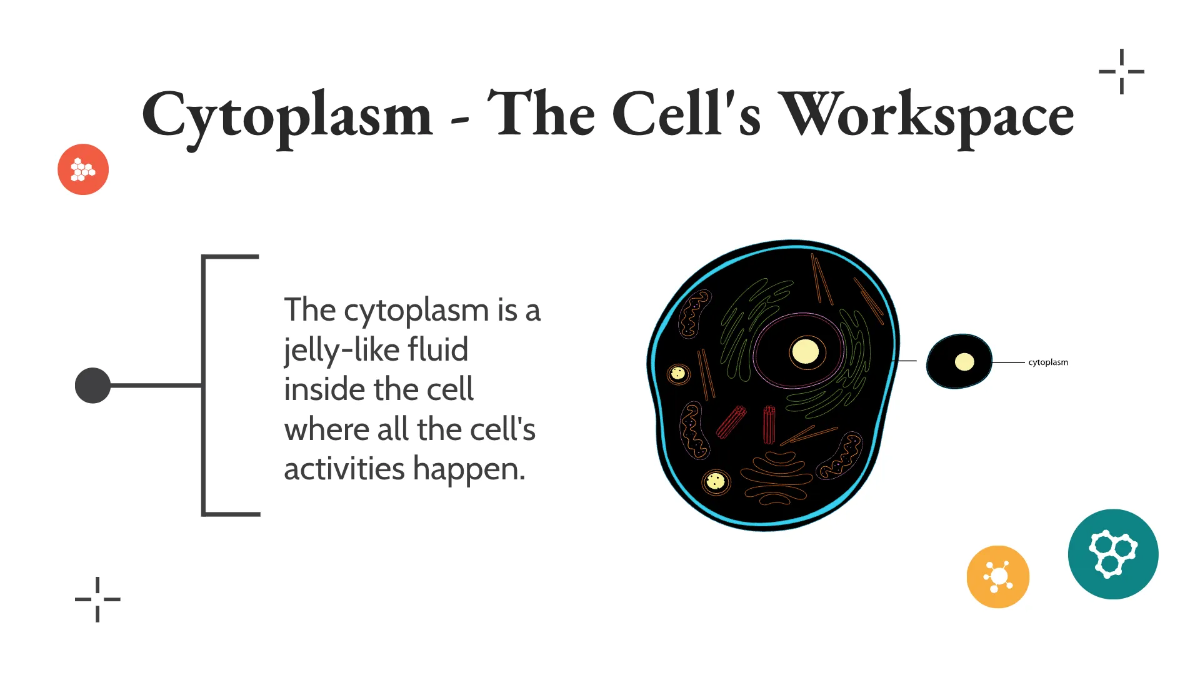 Free Understanding Cells Template to Edit Online