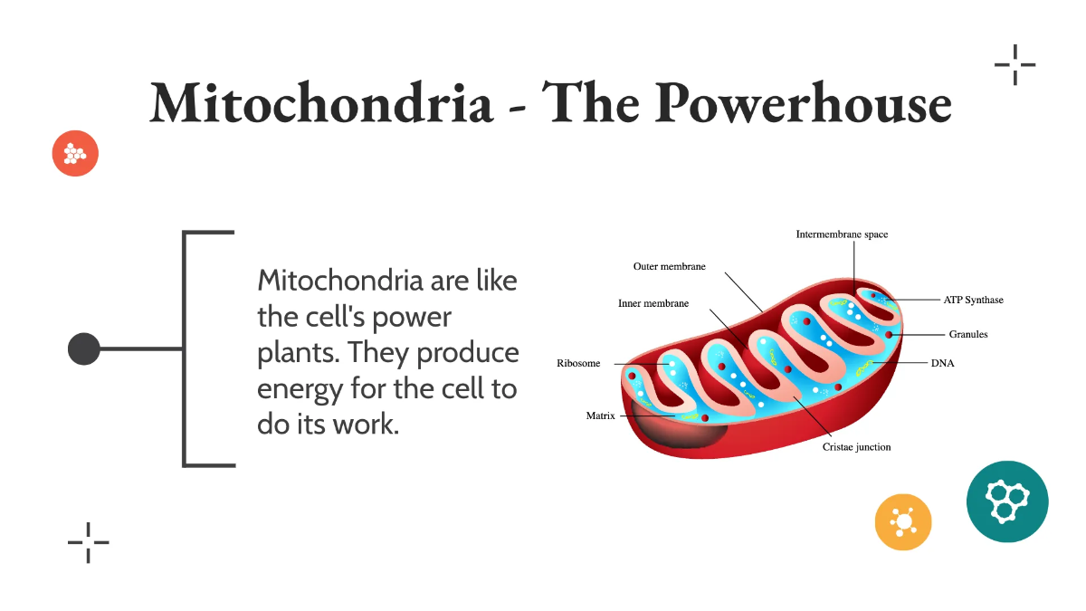 Free Understanding Cells Template to Edit Online