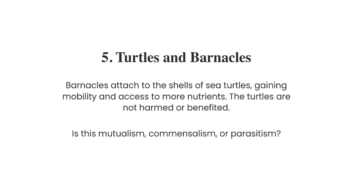 Free symbiotic-relationships Template to Edit Online