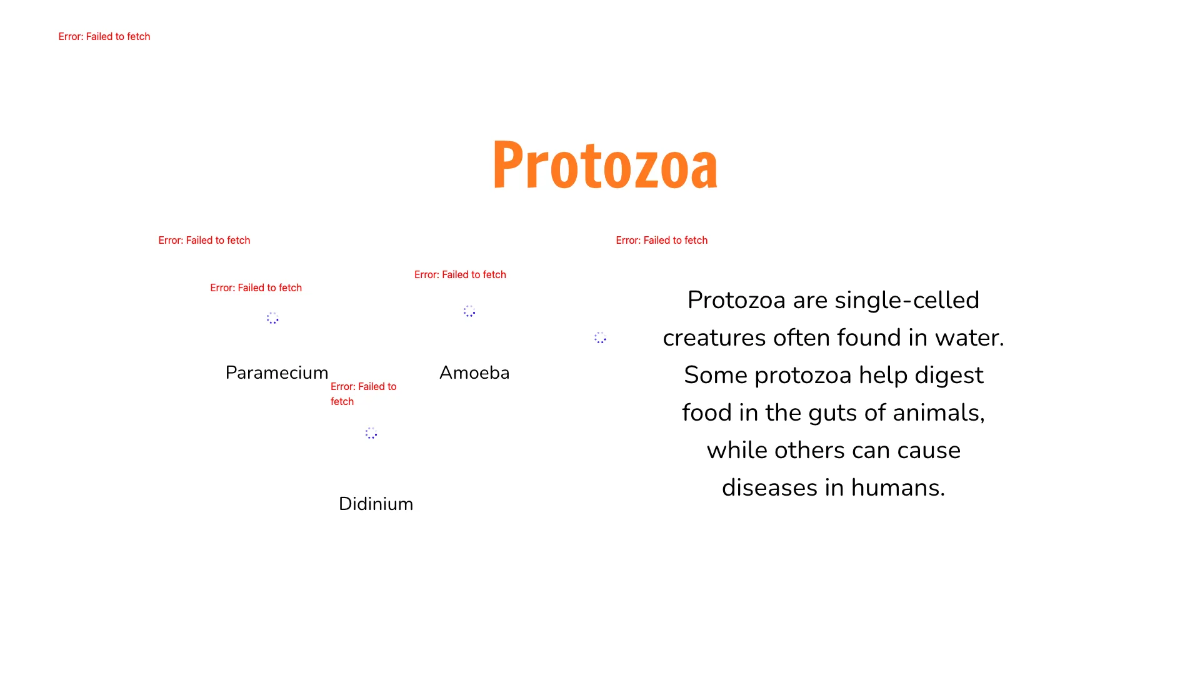 Free Types Of Microorganisms Template to Edit Online