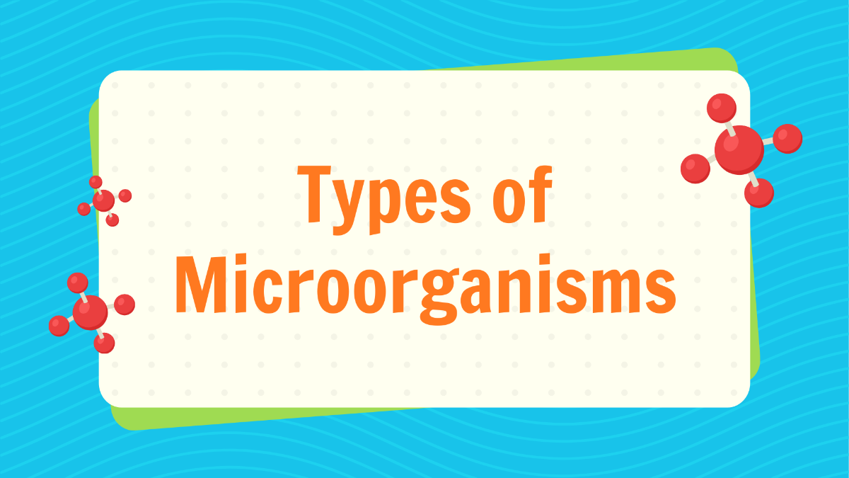 Types Of Microorganisms