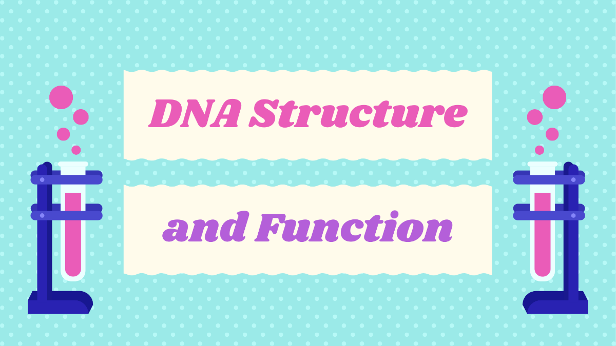 Dna-structure-and-function