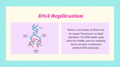 Free Dna-structure-and-function to Edit Online