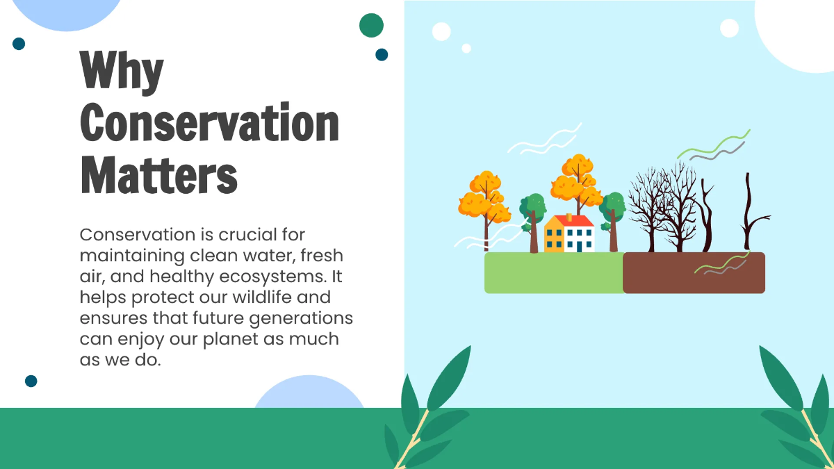 Free Conservation Practices Template to Edit Online