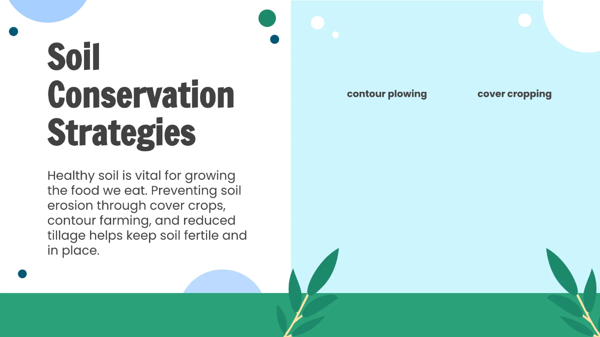 Free Conservation Practices Template to Edit Online