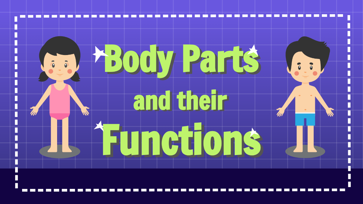 Body Parts and Their Functions
