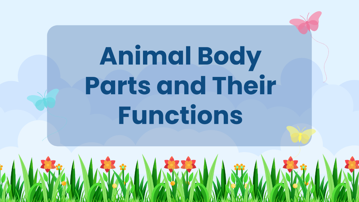 Animal Body Parts and Their Functions