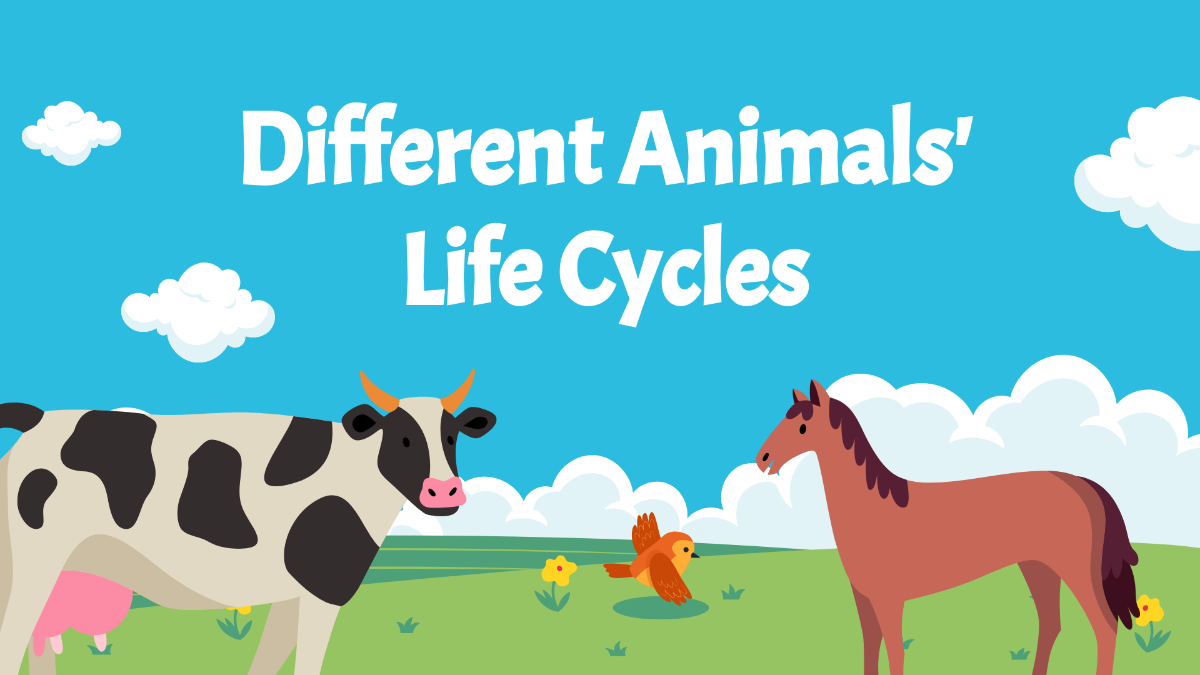 Different Animals' Life Cycles