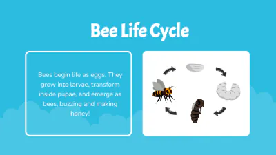Free Different Animals' Life Cycles to Edit Online