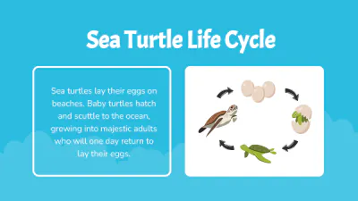 Free Different Animals' Life Cycles to Edit Online