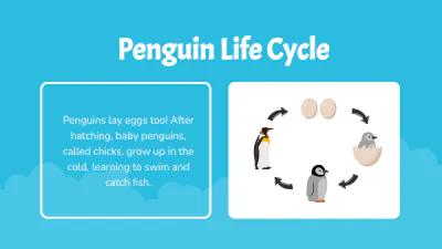 Free Different Animals' Life Cycles to Edit Online