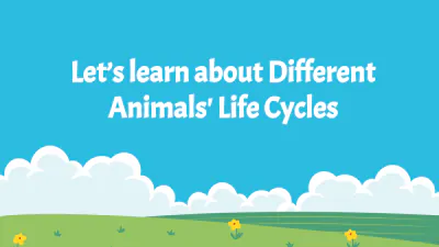 Free Different Animals' Life Cycles to Edit Online